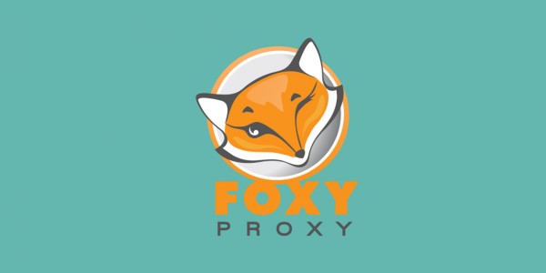 Lưu ý khi sử dụng IPProxy Helper FireFox